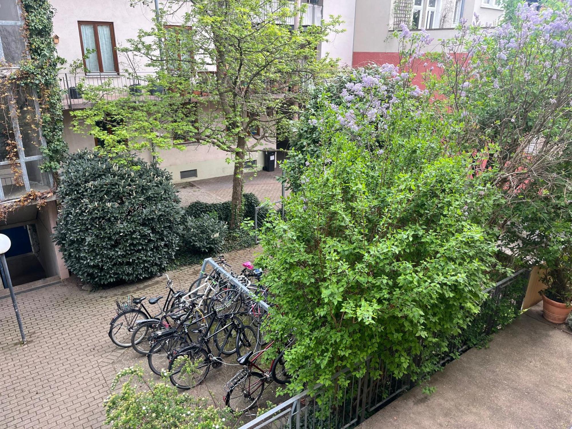 Apartment Haus Schönwald Freiburg im Breisgau